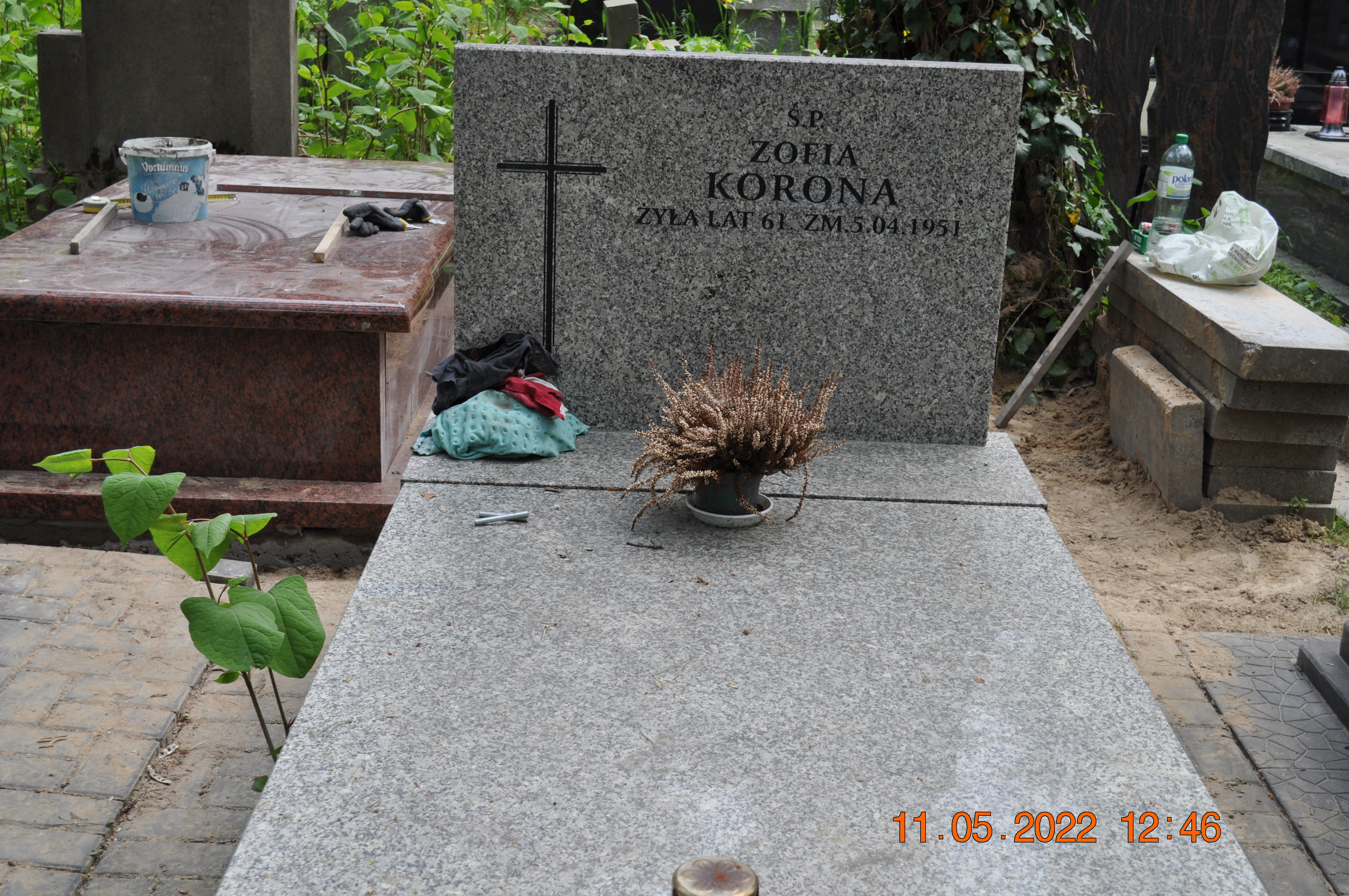 Zofia KORONA Tworki (Pruszków) - Grobonet - Wyszukiwarka osób pochowanych