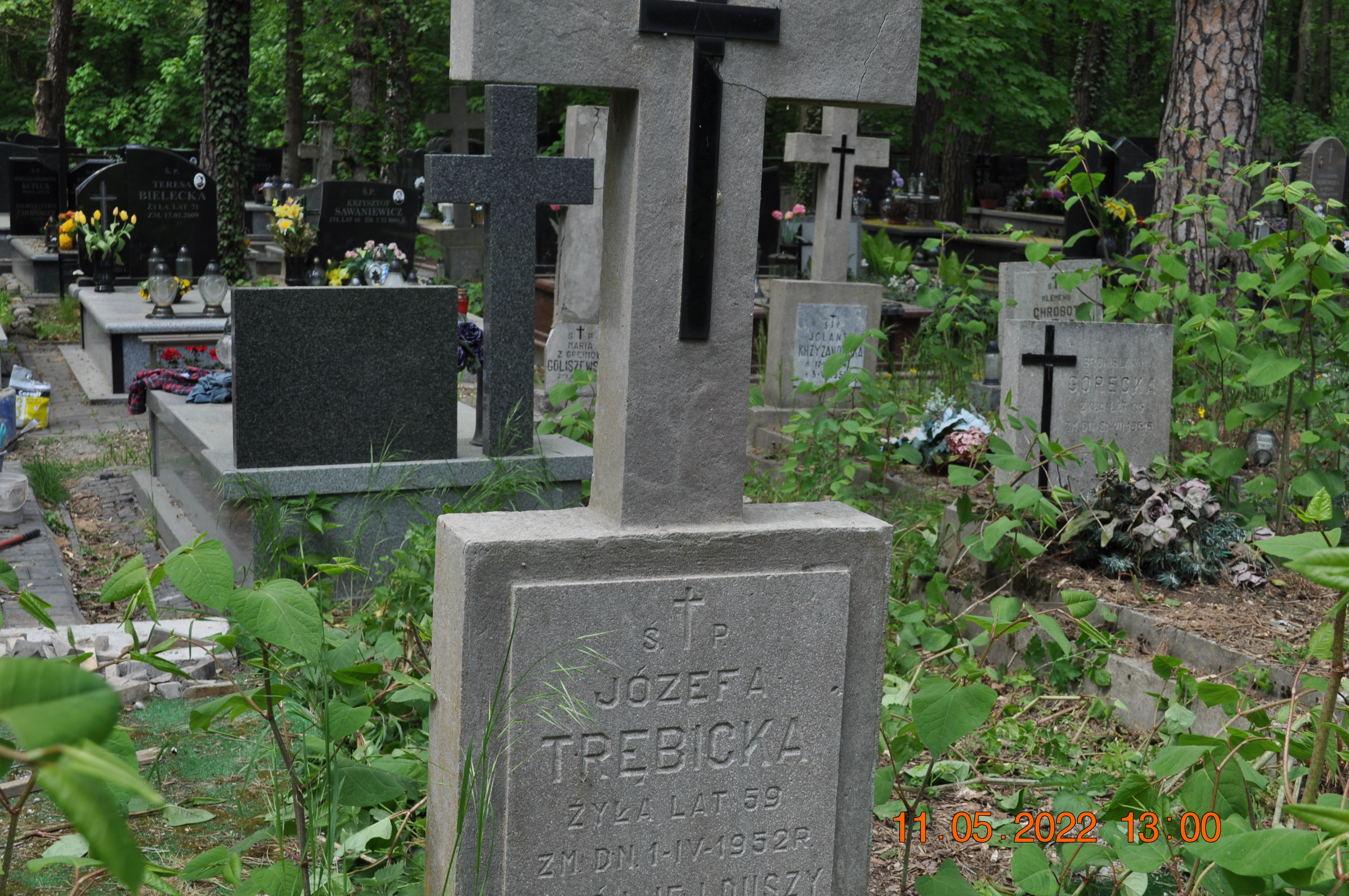 Józefa Trębicka 1893 Tworki (Pruszków) - Grobonet - Wyszukiwarka osób pochowanych