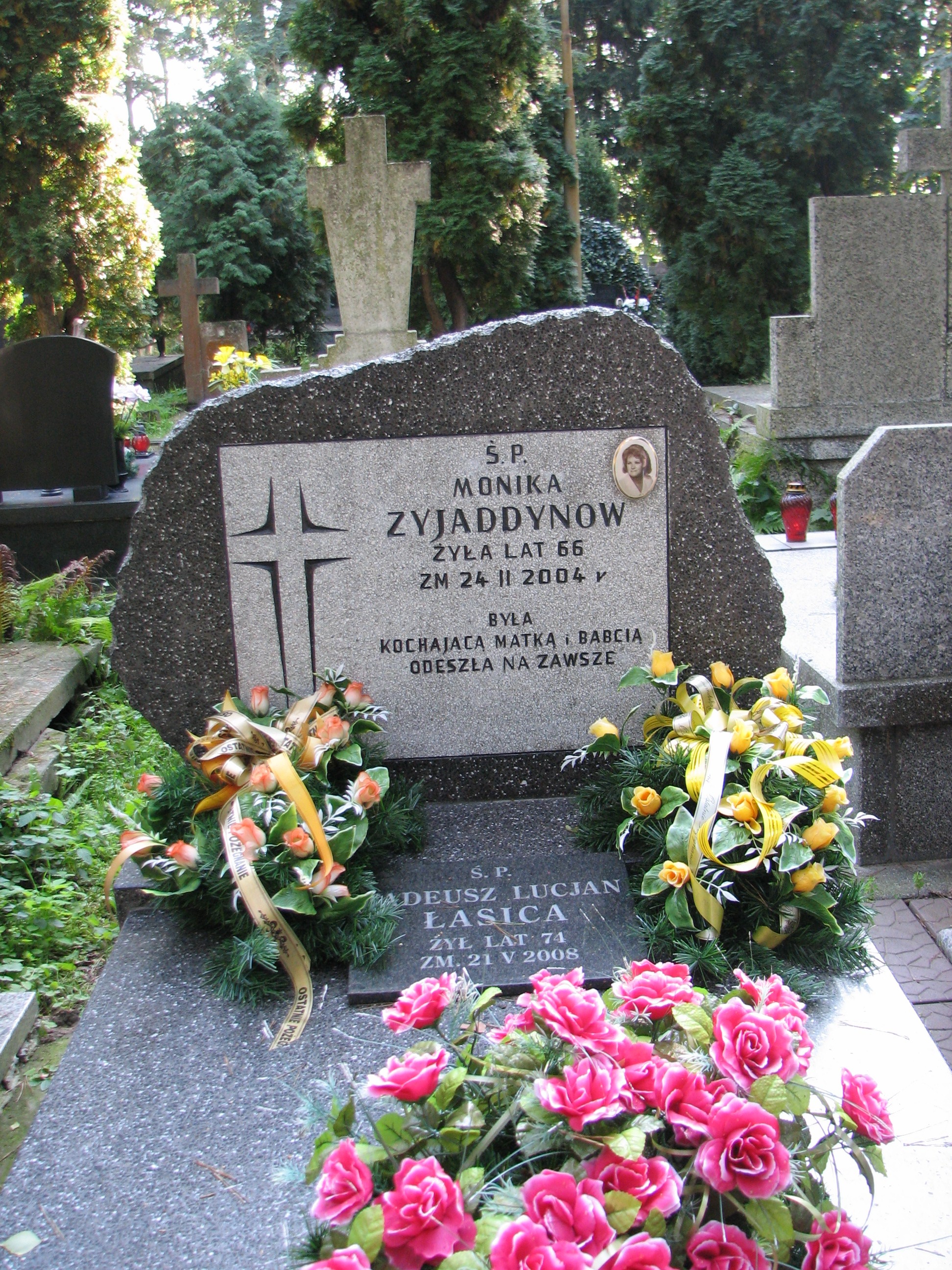 Tadeusz Lucjan Łasica 1933 Tworki (Pruszków) - Grobonet - Wyszukiwarka osób pochowanych