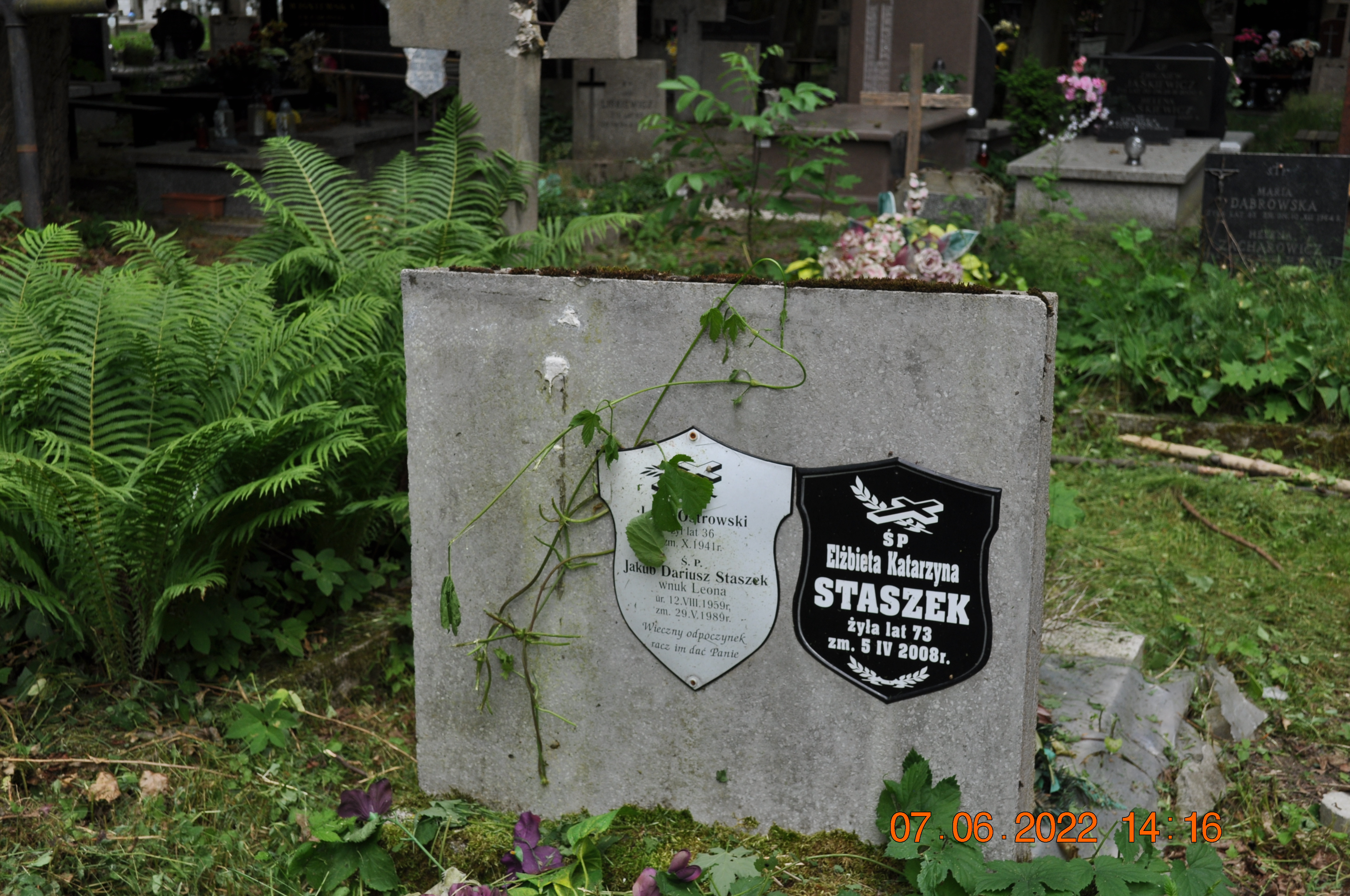 Elżbieta Staszek 1935 Tworki (Pruszków) - Grobonet - Wyszukiwarka osób pochowanych