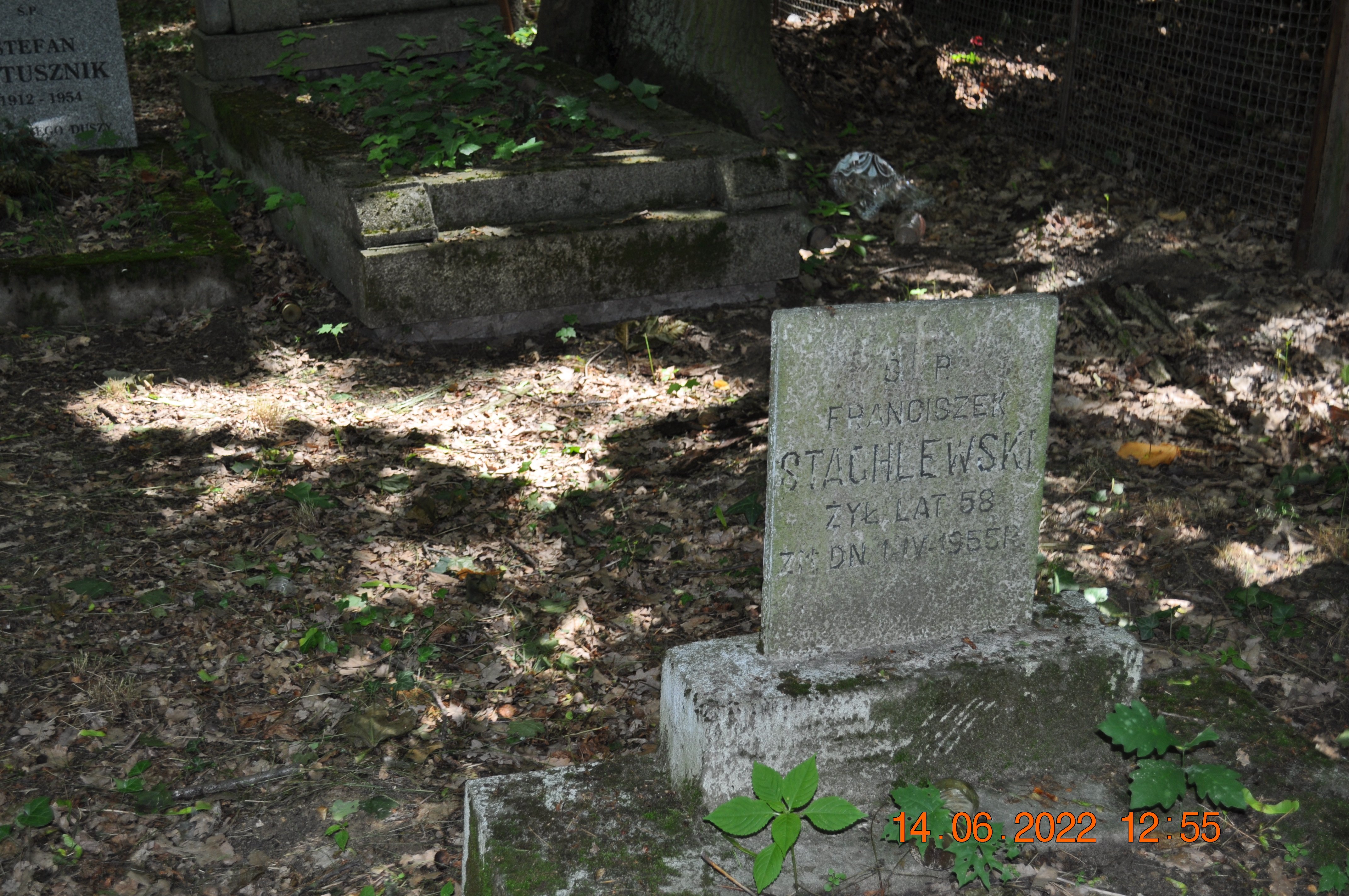 Franciszek Stachlewski 1897 Tworki (Pruszków) - Grobonet - Wyszukiwarka osób pochowanych